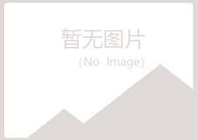 鹤岗东山凡松能源有限公司